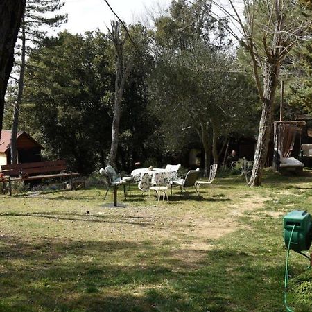 Ferienwohnung Mdq - Azienda Agricola Castiglione dʼOrcia Exterior foto